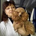 ���������� ������, ���� ������� ������, 60 ���, ������������ ��� c�������� ���������