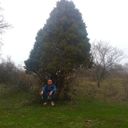  ,   , 43 ,   ,   , c 