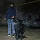 ���������� ������, ���� ������� �����, 41 ���, ������������ ��� ������, ����� � ���������