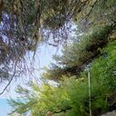 ���������� ������-��-����, ���� ������� ������, 51 ���, ������������ ��� ������, ����� � ���������, c�������� ���������, ���������