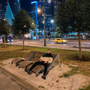 ���������� ��������, ���� ������� �����, 31 ���, ������������ ��� ������, ����� � ���������, c�������� ���������