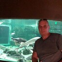  ,   , 55 ,   ,   