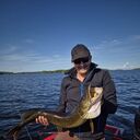 ���������� �������, ���� ������� Vladislav, 30 ���, ������������ ��� ������, ����� � ���������, c�������� ���������