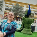  ,   , 41 ,     , c , 