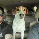 ���������� �����-���������, ���� ������� ����, 35 ���, ������������ ��� ������, ����� � ���������