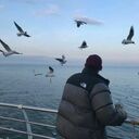 ���������� �����������, ���� ����� ����, 23 ����, ������������ ��� ������, ����� � ���������