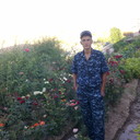  ,   SUNNATILLA, 37 ,   ,   , c , 