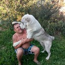  -,   , 43 ,   , 