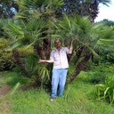  ,   , 56 ,   ,   