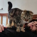 ���������� ������, ���� ������� Munhgauzen, 30 ���, ������������ ��� ������, ����� � ���������, c�������� ���������, ���������