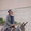 ���������� ���������, ���� ������� �����, 38 ���, ������������ ��� ������, ����� � ���������