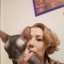  ,   , 53 ,   ,   , c 