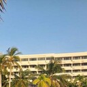 ���������� ������, ���� ������� ���, 39 ���, ������������ ��� c�������� ���������, ���������