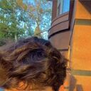 ���������� �������, ���� ����� ����, 21 ���, ������������ ��� ������, ����� � ���������