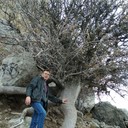 ���������� ��������, ���� ������� ����, 49 ���, ������������ ��� ����� � ���������, c�������� ���������