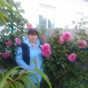 ���������� ��������, ���� ������� �������, 54 ����, ������������ ��� c�������� ���������, ���������