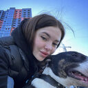 ���������� �����������, ���� ������� ���������, 24 ����, ������������ 