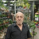  ,   , 66 ,   ,   , c 