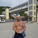  ,   Wild, 55 ,   