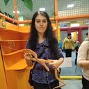  ,   , 34 ,   