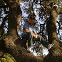 ���������� �������, ���� ������� Nur, 42 ����, ������������ ��� ������