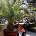 ���������� �������, ���� ������� �����, 47 ���, ������������ ��� ������, ����� � ���������, c�������� ���������