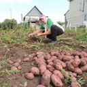 ���������� ����, ���� ������� ������, 73 ����, ������������ 