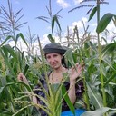 ���������� ������ ��������, ���� ������� ��������, 36 ���, ������������ ��� ������, ���������