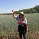 ���������� �����������, ���� ������� �����, 45 ���, ������������ ��� ������, ����� � ���������