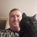  ,   , 51 ,   ,   