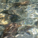  ,   , 47 ,   ,   , c 