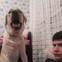 ���������� ����������, ���� ����� �������, 23 ����, ������������ ��� ������, ����� � ���������, c�������� ���������