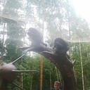 ���������� ������, ���� ������� ��������, 33 ����, ������������ ��� ������, ����� � ���������, c�������� ���������