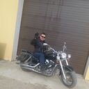  ,   Arctic Fox, 49 ,   ,   , c , 