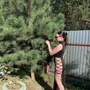  ,   , 29 ,     , 