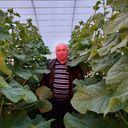 ���������� �������, ���� ������� �����, 61 ���, ������������ ��� c�������� ���������