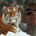 ���������� �������, ���� ������� ����������, 43 ����, ������������ ��� ������, ����� � ���������, c�������� ���������, ���������