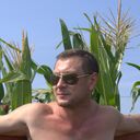  ,   , 53 ,   ,   , c 