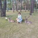 ���������� ������, ���� ������� ������, 57 ���, ������������ ��� ����� � ���������, c�������� ���������, ���������