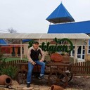 ���������� ������-��-����, ���� ������� ����, 50 ���, ������������ ��� c�������� ���������