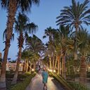 ���������� ������, ���� ������� �����, 55 ���, ������������ ��� c�������� ���������