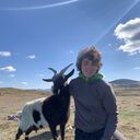 ���������� ������, ���� ������� ������, 29 ���, ������������ ��� ������, ����� � ���������