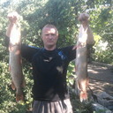 ���������� �������, ���� ������� ������, 42 ����, ������������ ��� ������, ����� � ���������, c�������� ���������