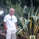 ���������� ���������, ���� ������� Willi, 56 ���, ������������ ��� ����� � ���������, c�������� ���������