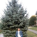  ,   , 44 ,     , c 