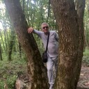 ���������� ����������, ���� ������� ����, 56 ���, ������������ ��� ������, ����� � ���������