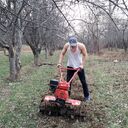 ���������� ������, ���� ������� �����, 36 ���, ������������ ��� ������, ����� � ���������