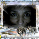  ,   , 48 ,   