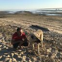 ���������� ������������, ���� ������� �����, 40 ���, ������������ ��� ������, ����� � ���������