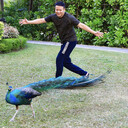  ,   Daniel, 55 ,   ,   